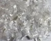 thumb-1
