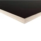 Placaj laminat, F/F, 15x1250x2500mm