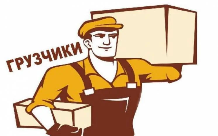 Servicii Hamal